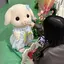 🐰のプロフィール画像