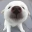 えっちゃんのプロフィール画像