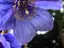 まな❁のプロフィール画像