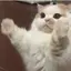 あやみのプロフィール画像