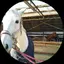 まろんのプロフィール画像
