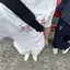 o12llnのプロフィール画像