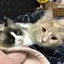kumiのプロフィール画像