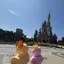 ひらめのプロフィール画像