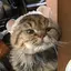 とものプロフィール画像