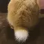 さらのプロフィール画像