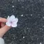 kのプロフィール画像