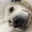 高橋のプロフィール画像