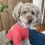 ちーのプロフィール画像