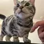 清香のプロフィール画像