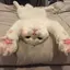 琴栄のプロフィール画像
