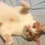 みんこのプロフィール画像