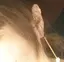 ざきさんのプロフィール画像