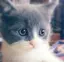 tomtomのプロフィール画像