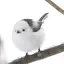 Konomiのプロフィール画像