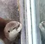 ユウのプロフィール画像