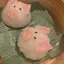 こぶたのプロフィール画像
