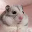 ❤︎のプロフィール画像