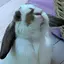 ものプロフィール画像