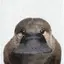 千洸のプロフィール画像