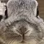 花菜のプロフィール画像