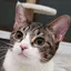 るーのプロフィール画像