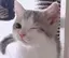 ふのプロフィール画像