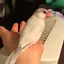 うたこのプロフィール画像