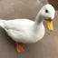 さっちゃんのプロフィール画像