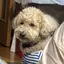ひなたのプロフィール画像
