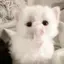 はのプロフィール画像