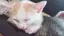 あやてぃんのプロフィール画像