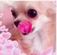 久美のプロフィール画像
