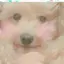 leeのプロフィール画像