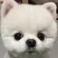 あみのプロフィール画像