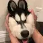 ka kiのプロフィール画像