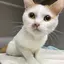 りんのプロフィール画像