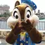 ちょこのプロフィール画像