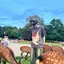あけたのプロフィール画像