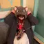ゆのプロフィール画像