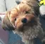 あーちゃんのプロフィール画像