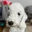 HRKのプロフィール画像
