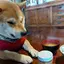 yurieのプロフィール画像