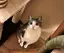 れれのプロフィール画像