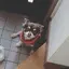 ゆうかのプロフィール画像