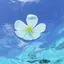 まるのプロフィール画像