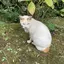 渓太のプロフィール画像