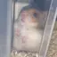 あのプロフィール画像
