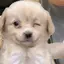 まちこのプロフィール画像