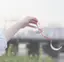 瑠菜のプロフィール画像